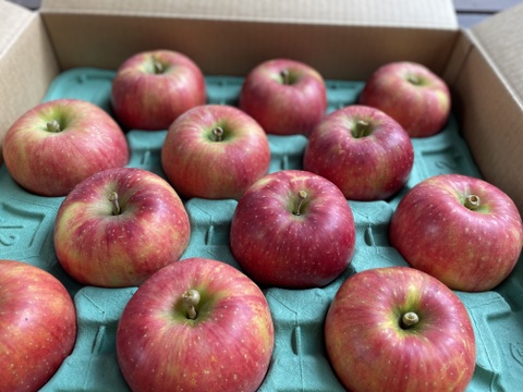 葉とらず　千秋　約4.5kg【2025年産】