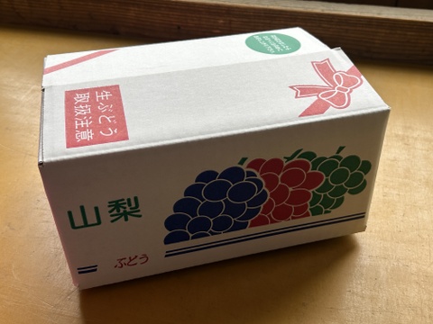 山梨県勝沼産　間違いのない甘さ！巨峰