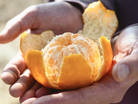 【訳ありだけど美味しさそのまま】ポンカン 2kg 愛媛県産 ぽんかん