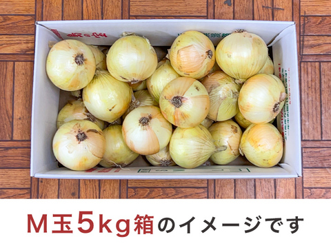 【お得！M玉】 10kg 淡路島産新たまねぎ 特別栽培 兵庫県認証食品