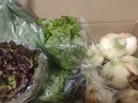 大好評，地層が違う淡路島、新玉ねぎスーパーアップ３キロ(風袋込み)