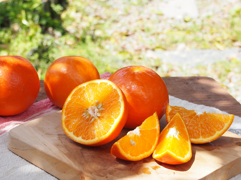 濃厚果汁がたっぷり！　セミノール【家庭用(訳あり)】[5kg]　319-3