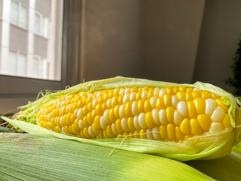 【お試し価格】是非一度食べてみて🌽【ドルチェドリーム】10本＜食べチョクプロデュース商品＞とうもろこし