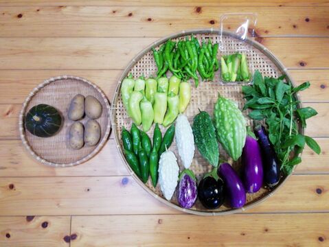 【農薬・化学肥料不使用】花オクラ入り野菜セット【６～８種類の野菜】【食べ方説明書付き】【金曜日クール便で発送】【あわせ買い可】【熨斗(のし)対応可】【８０サイズ箱】