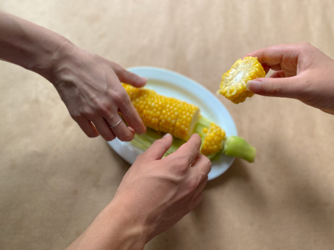 【お試し価格】是非一度食べてみて🌽【ドルチェドリーム】10本＜食べチョクプロデュース商品＞とうもろこし