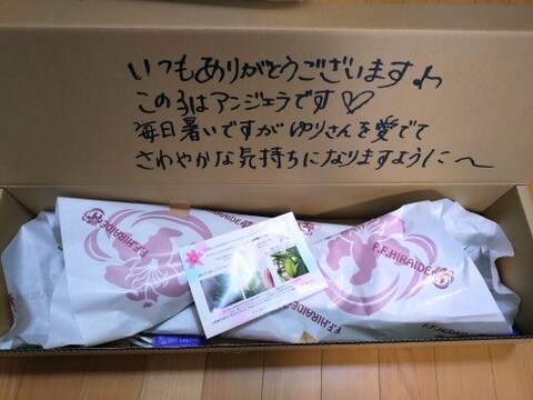 【秋彼岸含みます】簡易包装■ペトロネラ3本束■~純白で花弁がとてもしっかりしています！！グリーンの筋も入っていて清涼感があります(^^)