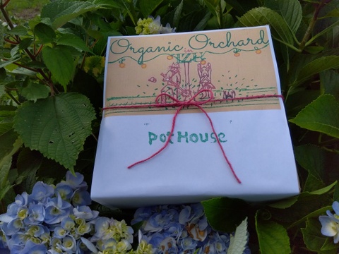 【福袋2025】【贈答用】【特秀品】【秀品】【夏ギフト】”朝積みブルーベリー1kgと煮え立てブルーベリージャム1瓶”　農薬・肥料・除草剤不使用