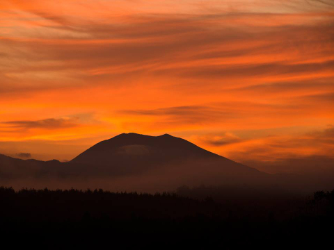 美味しさを追求したオーガニックミニトマトを丸ごと瓶に詰め込みました。
北海道蘭越産トマトジュース 100%有機生産物トマト 720ml