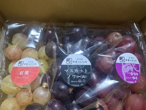 ☆３種ぶどう粒セット　１kgパック　☆９月上旬から１０月中旬の間で発送☆
