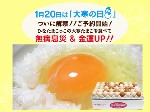無病息災＆金運UP！！大寒たまごＭさくら45個【常温便】
