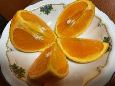 【訳あり】爽やか香際立つジューシーなバレンシアオレンジ5キロ
