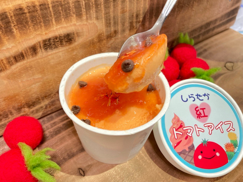 特産をひとさじに♡しらたか紅トマトアイス　6個入り