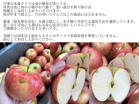 【完売御礼】農薬50%削減の特別栽培りんご「未希ライフ」訳ありご家庭用5kg🍎低農薬で皮ごと食べられる青森りんご　夏にぴったりの爽やかな甘みと酸味✨