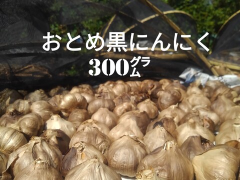 ☆熊本産☆おとめ黒にんにく300㌘ (農薬･化学肥料不使用)   黒ニンニク にんにく 黒にんにく
