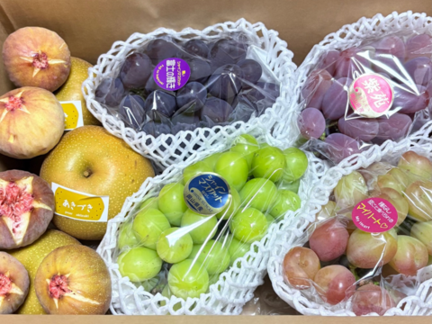 【9周年感謝祭】岡山の旬を詰め込んだ！ぶどう4種と梨・日本イチジクの豪華6種BOX