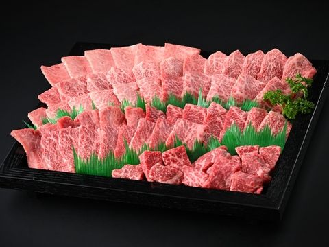 【牧場オーナー厳選】極旨 若狭牛食べ比べ 霜降りと赤身の贅沢極み焼肉盛り合わせ 1kg （4-5人前）