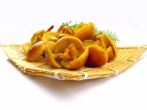 若干数！】新潟県妙高市産 天然なめこ 150g 最高のヌメリと香りと味