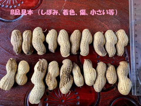 【規格外・B品】乾燥生落花生1kg【ジャンボピーナッツ・極大粒・殻付き】【農薬・化学肥料不使用】【天日乾燥】【令和6年・岐阜県産】