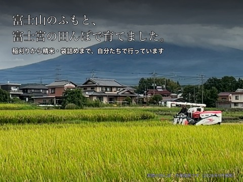 令和8年産 にじのきらめき 白米20kg（1袋）静岡県富士宮産 ご注文後に