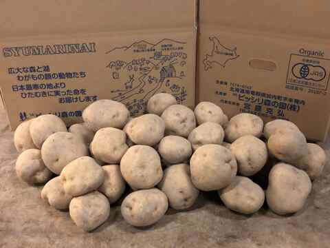 【有機栽培】
　ジャガイモ10kg+玉ねぎ4kgのセット
