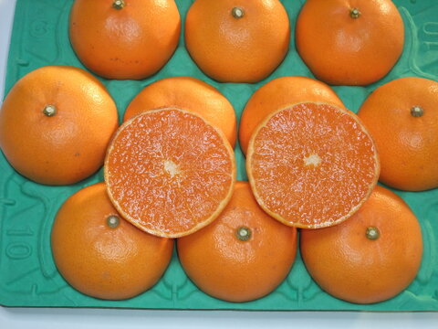 果汁・糖度タップリ！せとか特秀（贈答用・３kg）