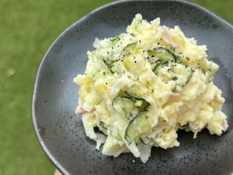 【北軽井沢産】ほっくほく！化学肥料不使用の特別栽培じゃがいも「とうや」Mサイズ5kg　浅間高原標高1000mで作る朝晩の冷え込みが甘みを増す。肥料もイチから手作りし、土からていねいに育てています。