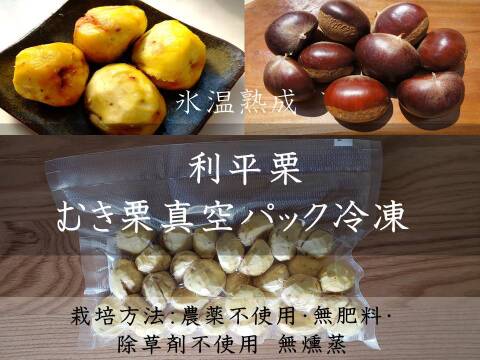 【糖度が上がった熟成むき栗　栗の王様 利平栗】　農薬不使用 むき栗真空パック冷凍　1パック300g入り