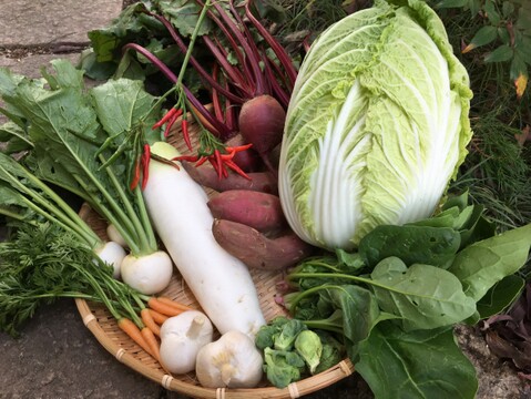 旬のオーガニックおまかせ野菜セット🥦5品目〜7品目