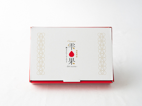 数量限定！フルーツトマト【雫果（しずか）プレミアム】600g・ギフトボックス