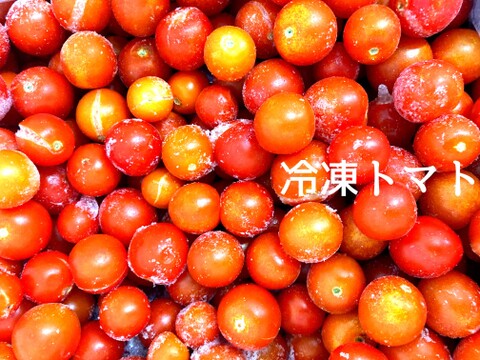 【冷凍】調理に最適！規格外冷凍トマト（1kg）