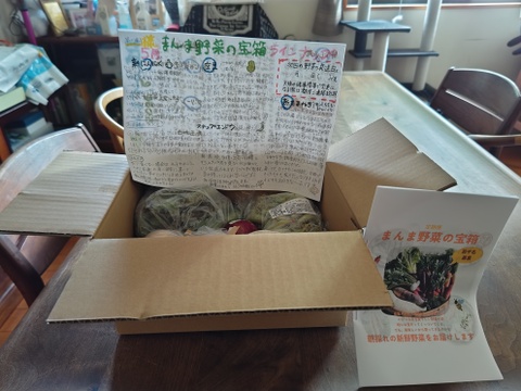 【自然栽培】お試し『まんま野菜の宝箱S』