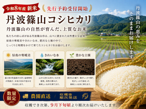 【令和8年産 新米・先行予約】丹波篠山産 コシヒカリ 10kg 2026年産・農園直送 ご家庭用 新米 特 コシヒカリ こしひかり 10㎏ 数量限定 お米 米