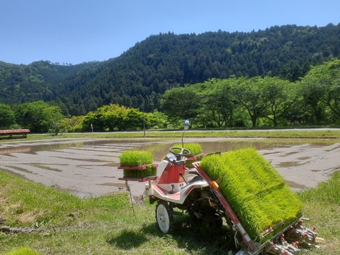 農薬不使用【玄米餅 3セット】約800g【20個前後】× 3 ＝2.4kg