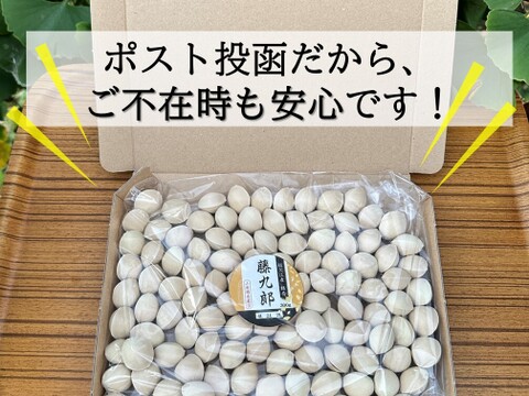 【訳アリお買い得￥】お料理用♪　祖父江銀杏〈藤九郎〉粒たっぷり800ｇ