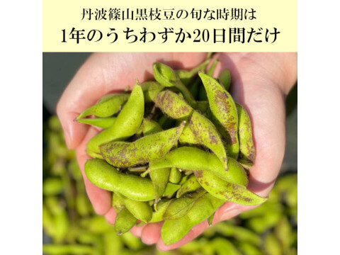 丹波篠山 黒枝豆 1.8kg( 600g × 3袋 ) 【令和7年新豆・予約販売】 産地直送 期間限定 贈答用にも最適 大粒 最高級 さや 枝豆
毎年完売 今しか味わえない 丹波篠山の黒枝豆 数量限定