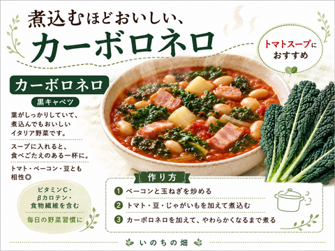 【毎日のスープに】カーボロネロ約600g｜黒キャベツ・栽培期間中 農薬・化学肥料不使用