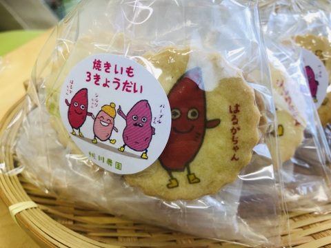 美味しい焼き芋がクッキーになりました♪【桃川農園の焼きいもクッキー】６枚個包装×６袋