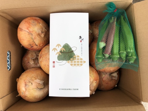 夏限定!淡路島産玉ねぎ オクラ20本入りセット (5kg)