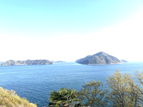 【放し飼い卵20個】瀬戸内海の島”薬膳と果実を配合”したえさで育ったもみじのたまご　２０個【18個+割れ保障2個】