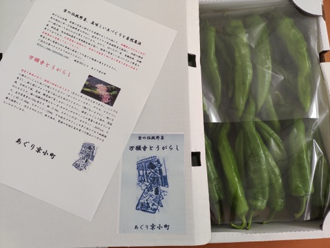 夏の京都　肉厚、やさしい味のオーガニック万願寺とうがらし　　
1ｋｇ入り　箱サイズ60ｃｍ