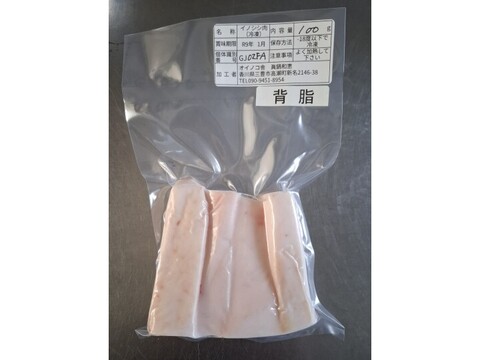 ジビエ　イノシシ　背脂  100g