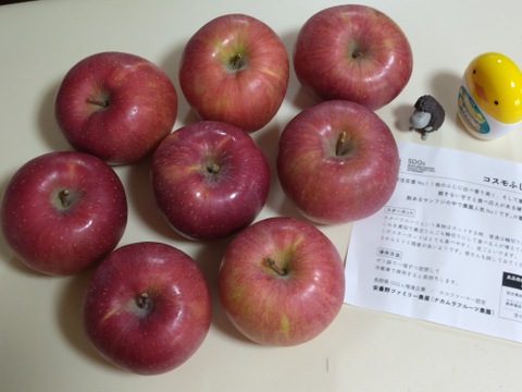 りんごGP2025最高金賞1位🎊【究極のサンふじ】コスモふじ 3キロ箱 商品ID52651 長野県 信州 安曇野 リンゴ 幻 幻のリンゴ  希少 旬 甘い ふじ サンふじ 6玉〜15玉