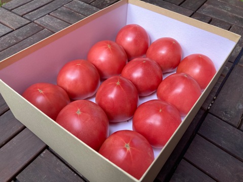 トマト嫌いも食べやすい？！島原産大玉トマト(1.5キロ)