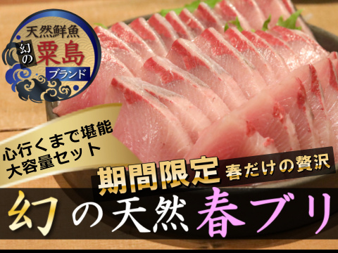 🍺お酒のお供に抜群🍺ゴクゴクお酒が進む日本海ブランド"天然国産天然国産春ブリ🐟刺身＆ぶりしゃぶ用【2025年3月中下旬発送】大容量キャンペーン約700g🐟春ギフト🐟