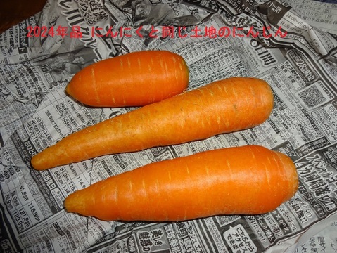 【今が旬】大きさと味に感動！安心安全の農法で育てたジャンボにんにく【一房】