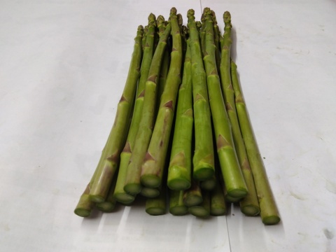 シャキシャキ！さぬきのめざめ秀品太めのL~2L夏芽１㎏