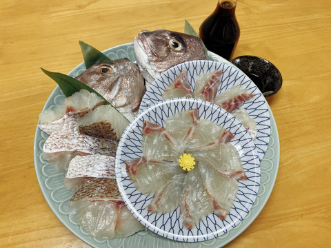 お中元 めで鯛お頭付き 鮮度抜群真鯛 もらって嬉しい九州の専用調味料セット Firesh 熊本県産 食べチョク 農家 漁師の産直ネット通販 旬の食材を生産者直送