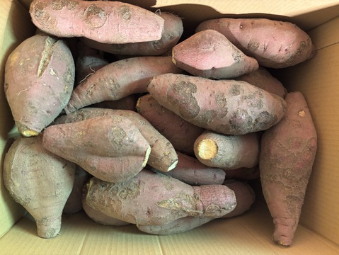 【訳あり】有機認証島根県産紅はるか(10kg/サイズ混合)