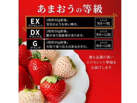 紅白極上あまおう400ｇ　～ベロアギフトボックス～【冬ギフト】