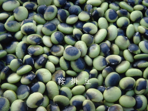 【６種類の在来種の青大豆セット】おいしくてきれい！珍しい青大豆、揃っています　（小粒青大豆、鞍掛豆、サトウイラズ、青大豆（新潟在来）、青大豆（千葉在来）、あおばた豆）【食べ比べ】